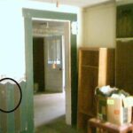 Photo showing face in living room wallpaper at house being investigated.