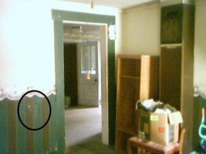 Photo showing face in living room wallpaper at house being investigated.