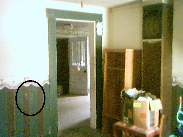 Photo showing face in living room wallpaper at house being investigated.